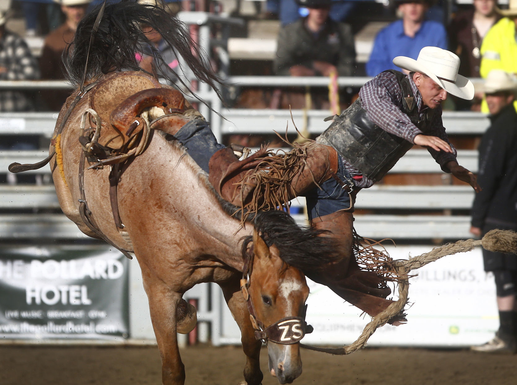 Home of Champions Rodeo